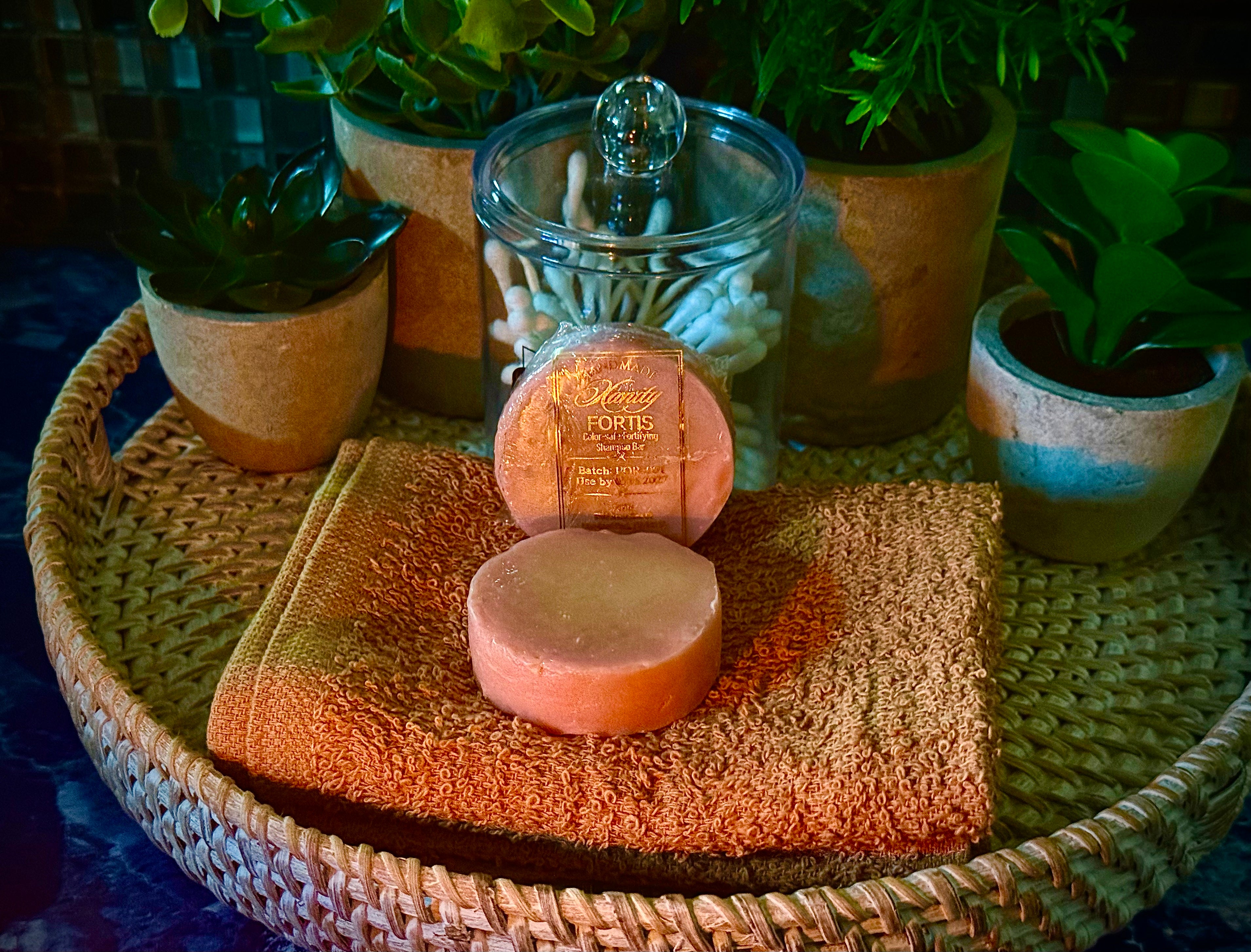 Fortis Strengthening Shampoo Bar